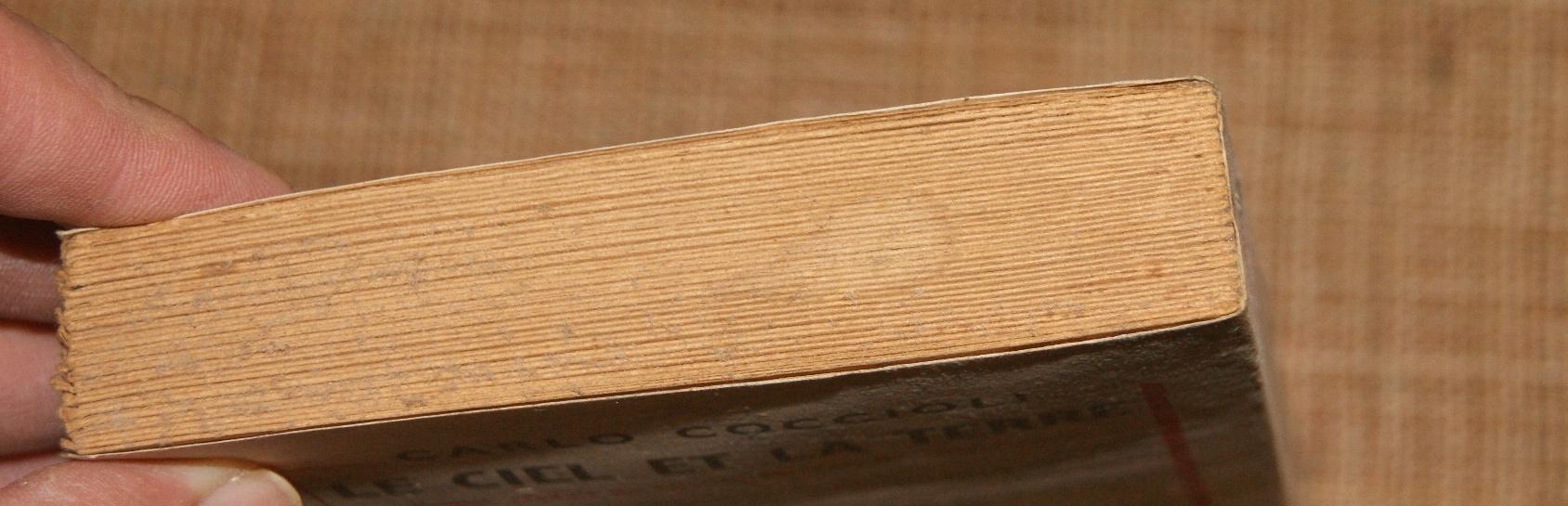 Dsc03766