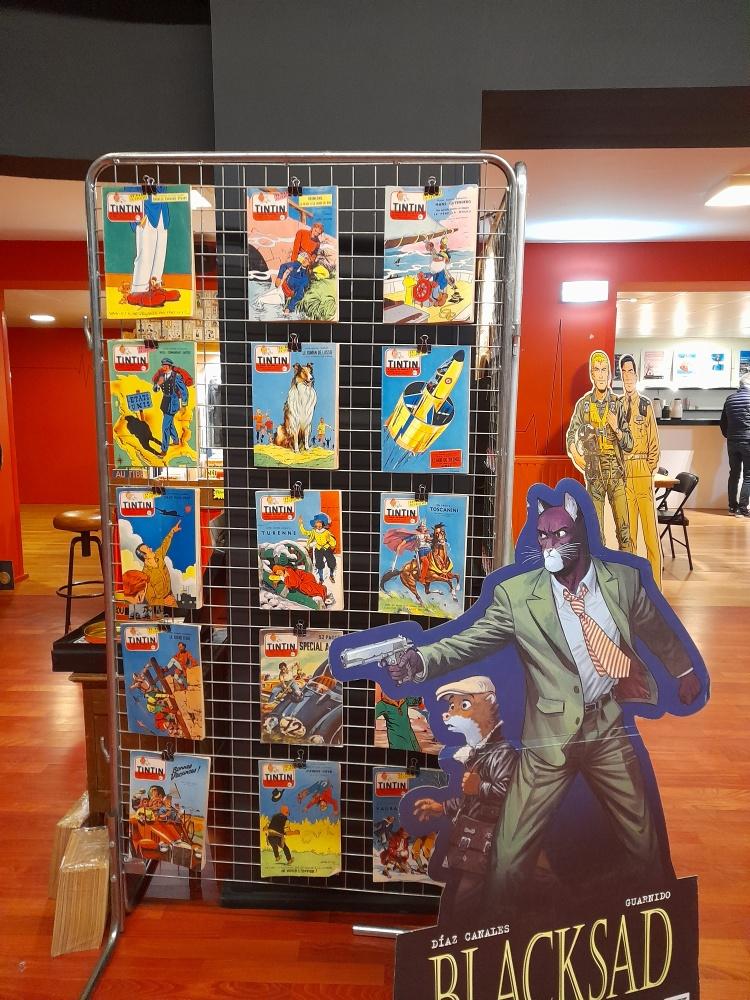 Dans l'entrée, les panneaux BD accueillent les visiteurs